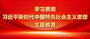 操韩国骚逼学习贯彻习近平新时代中国特色社会主义思想主题教育_fororder_ad-371X160(2)